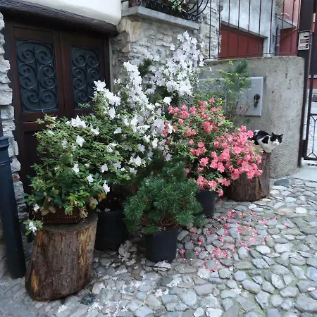 La Ca In Piaza Tatil Evi *